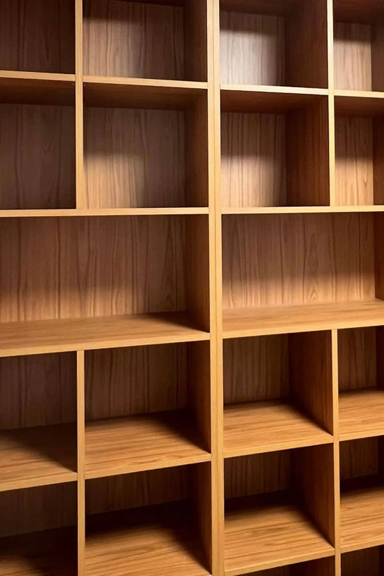 Création d'une bibliothèque pour David et Echo